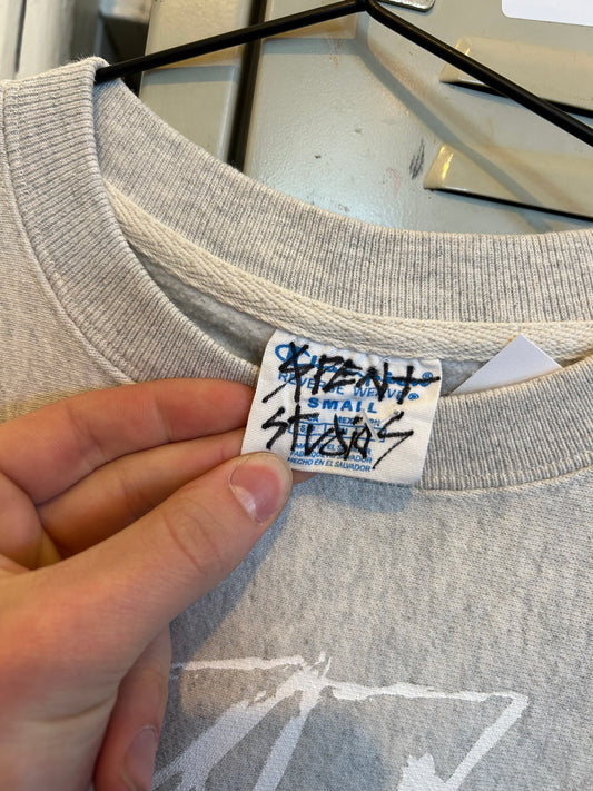 $pent x Goodwill Glacier crewneck